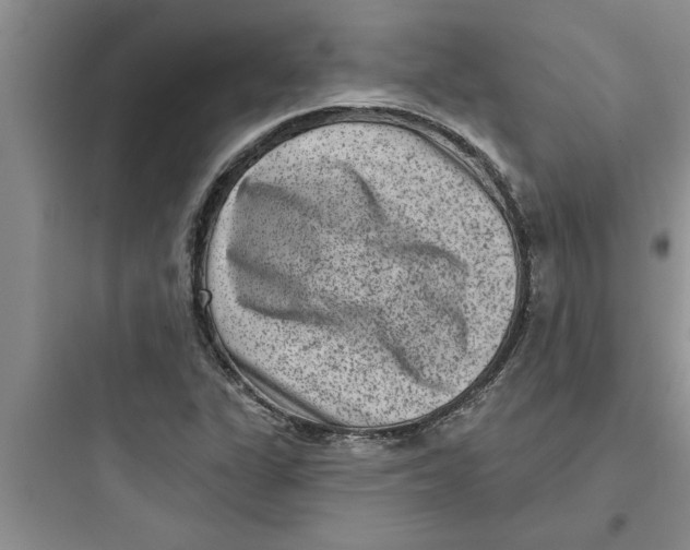 X0000097611311200803211714