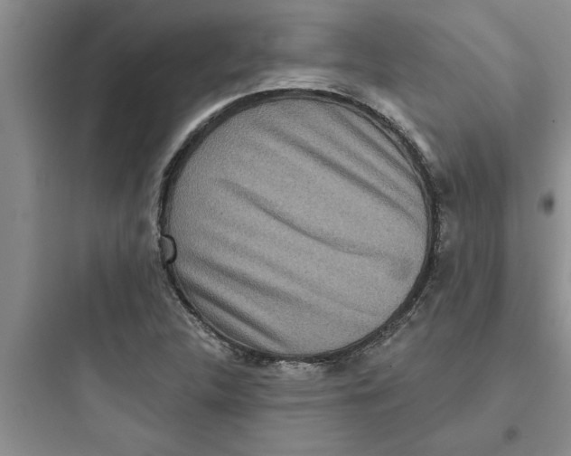 X0000097611312200803211714