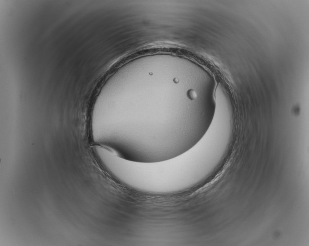 X0000097611313200803211714