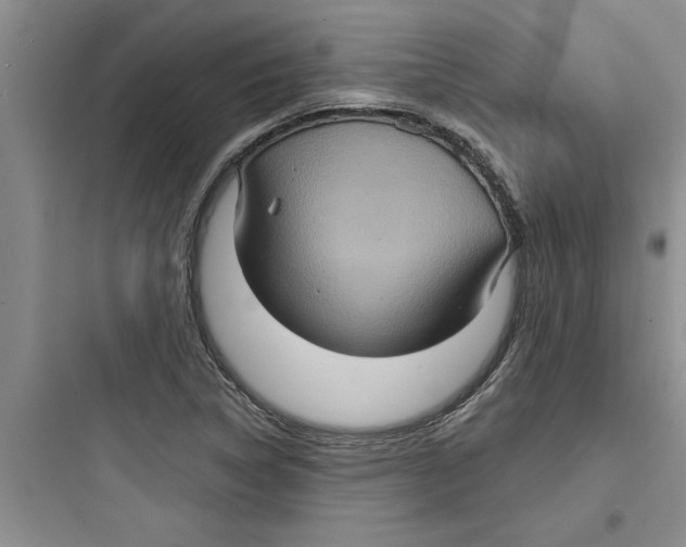 X0000097611314200803211714