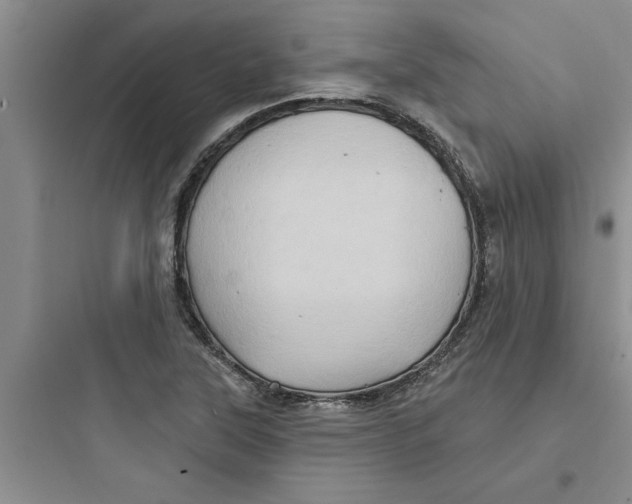 X0000097611315200803211714