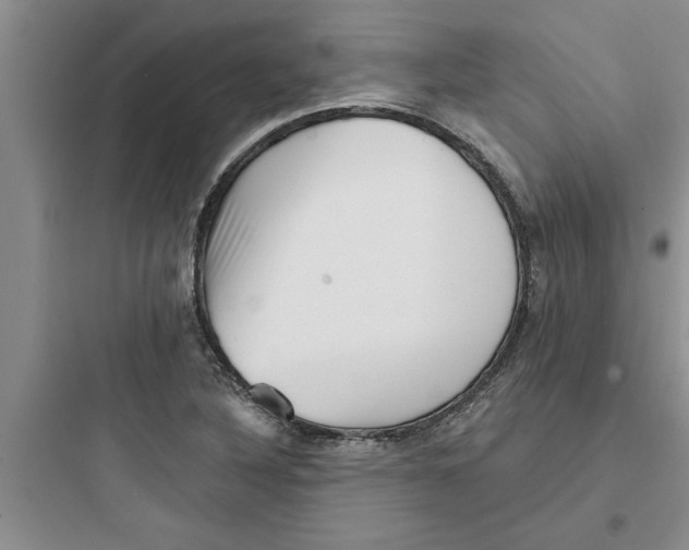 X0000097611316200803211714