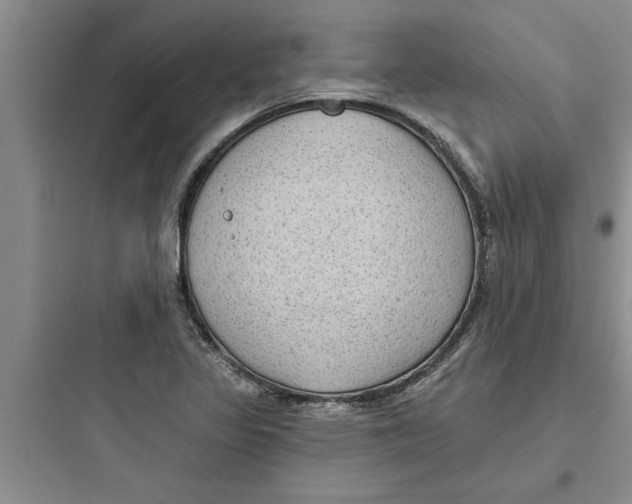 X0000097611317200803211714