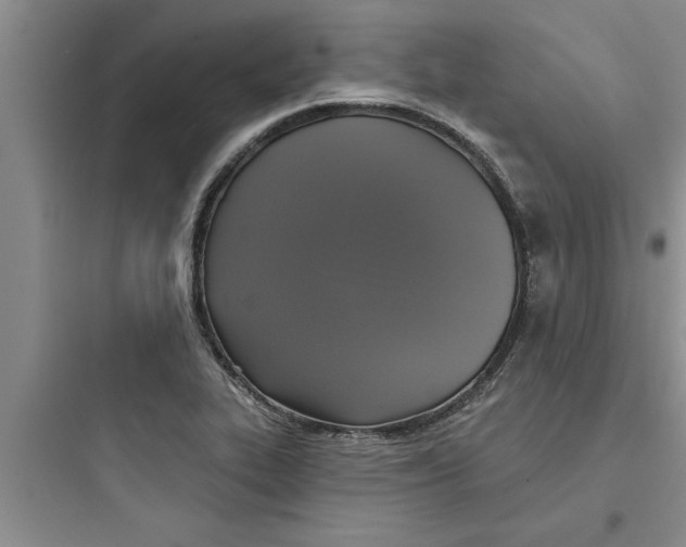 X0000097611319200803211714