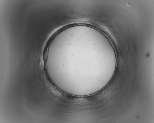 X0000097611320200803211714