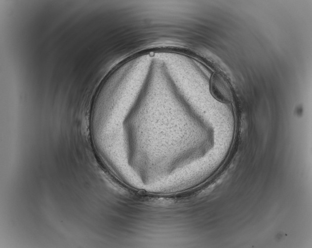 X0000097611321200803211714