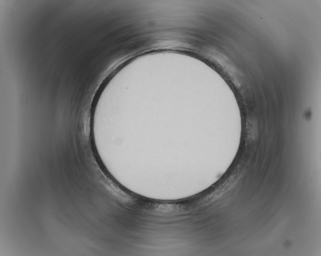 X0000097611322200803211714