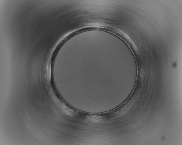 X0000097611323200803211714