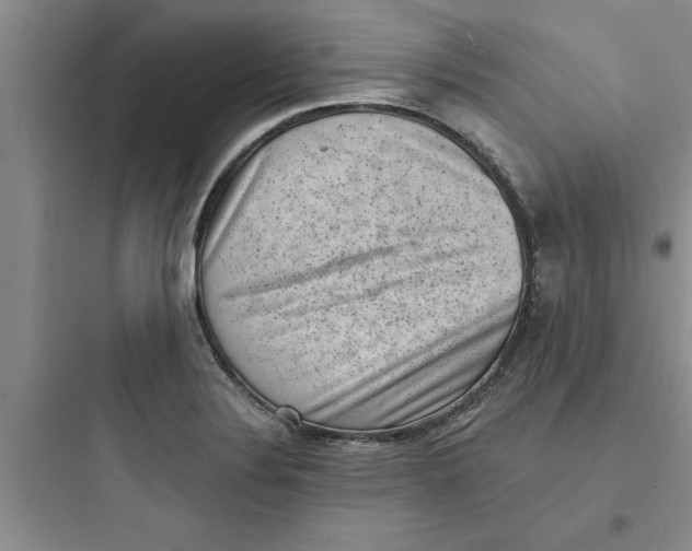 X0000097611324200803211714