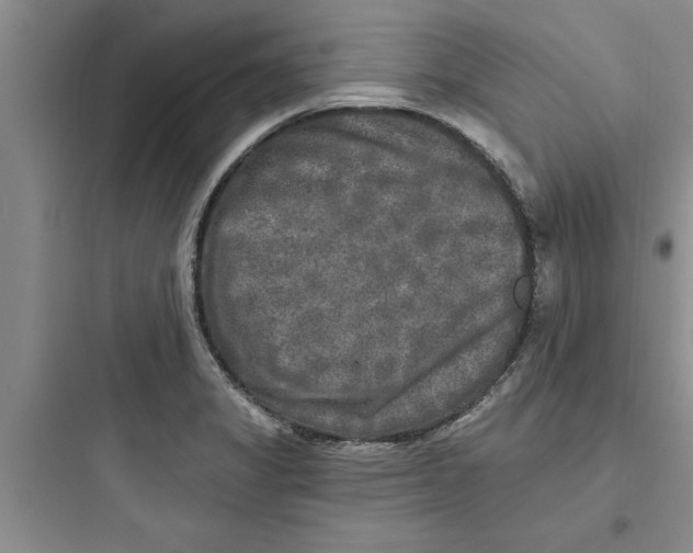 X0000097611325200803211714