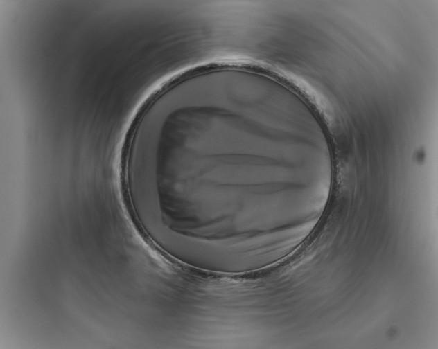 X0000097611327200803211714