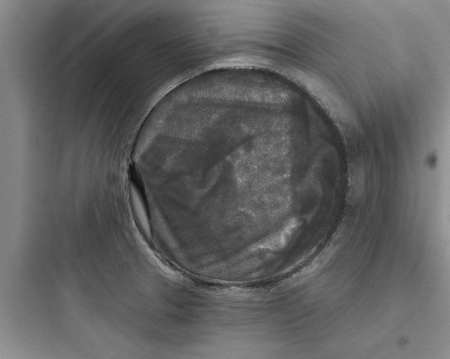 X0000097611329200803211714