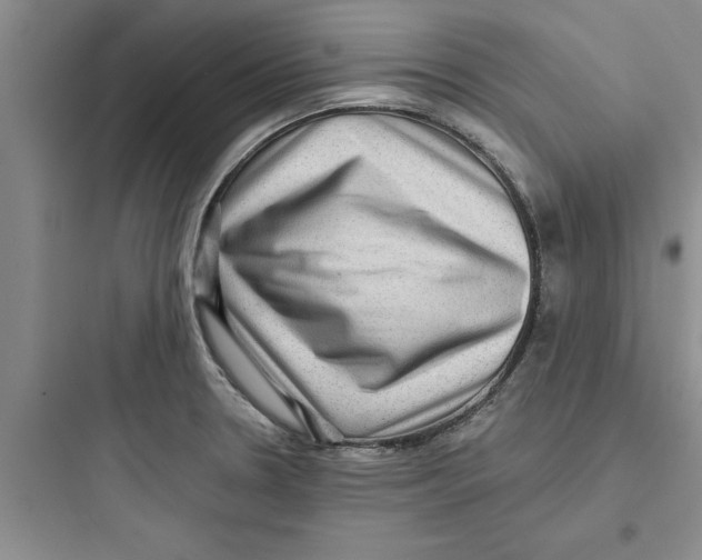 X0000097611330200803211714