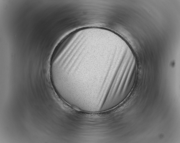 X0000097611332200803211714