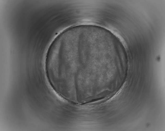 X0000097611333200803211714