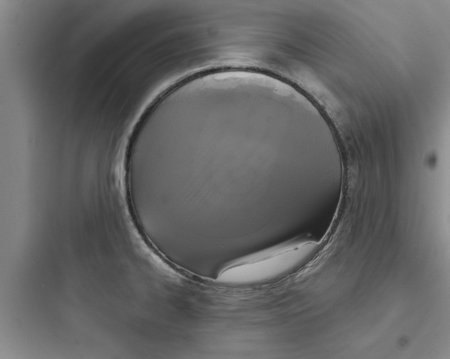 X0000097611334200803211714