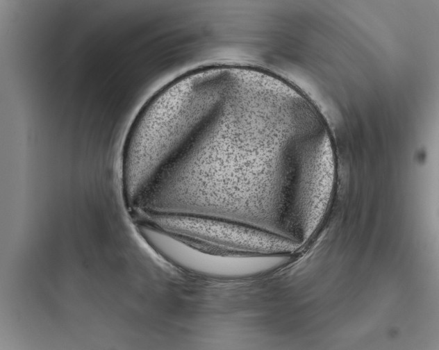 X0000097611335200803211714