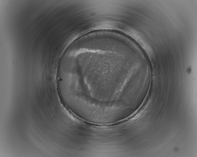 X0000097611337200803211714