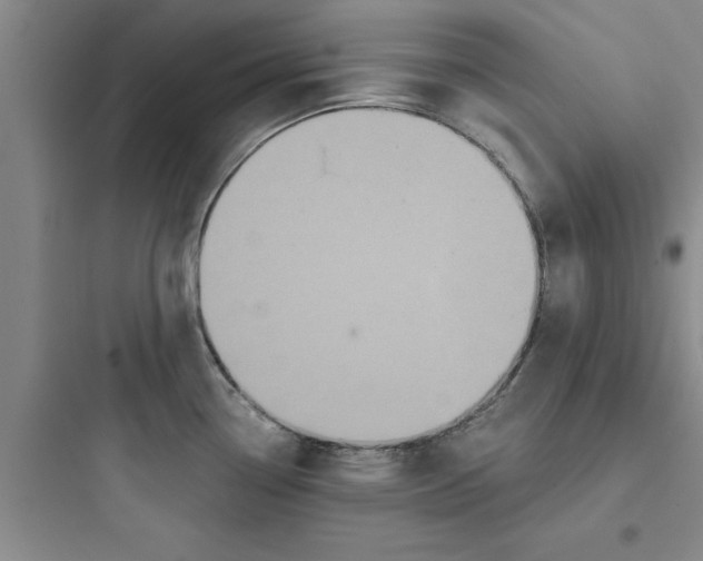 X0000097611338200803211714