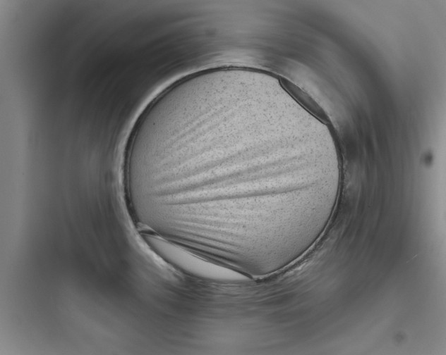 X0000097611339200803211714