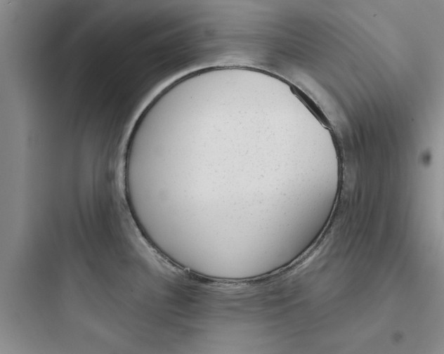 X0000097611340200803211714