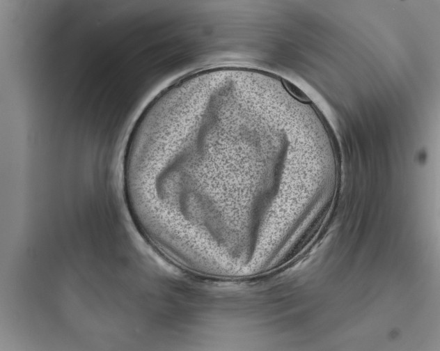 X0000097611341200803211714