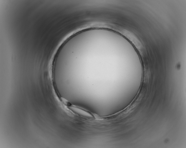 X0000097611342200803211714