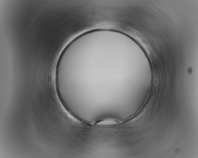 X0000097611343200803211714