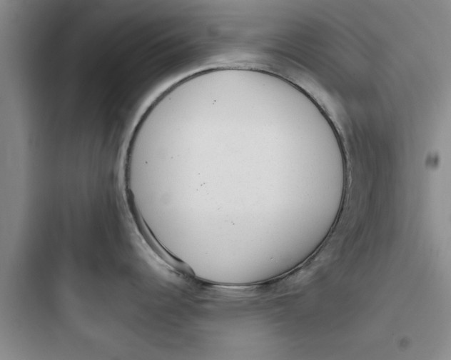 X0000097611344200803211714