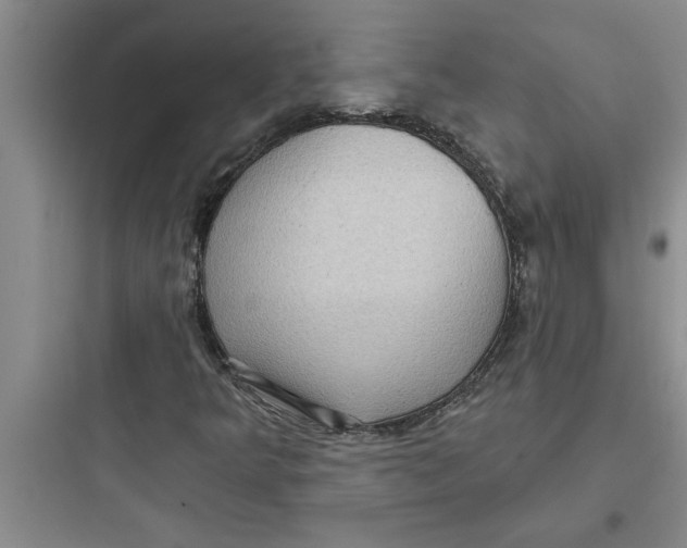 X0000097611349200803211713