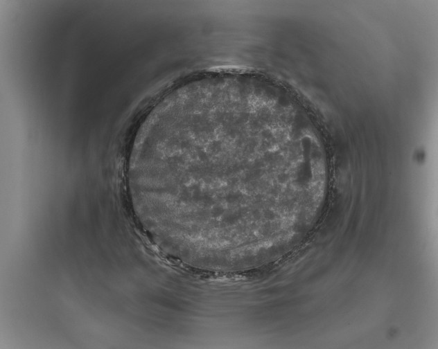 X0000097611351200803211713