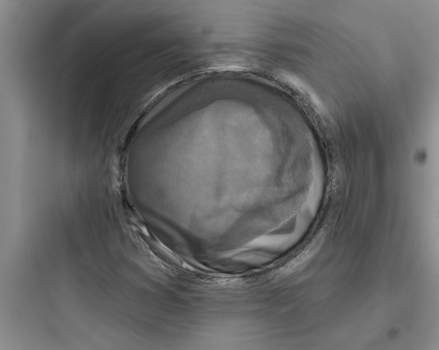 X0000097611353200803211713