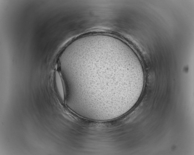 X0000097611355200803211713