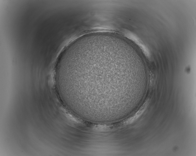 X0000097611357200803211713