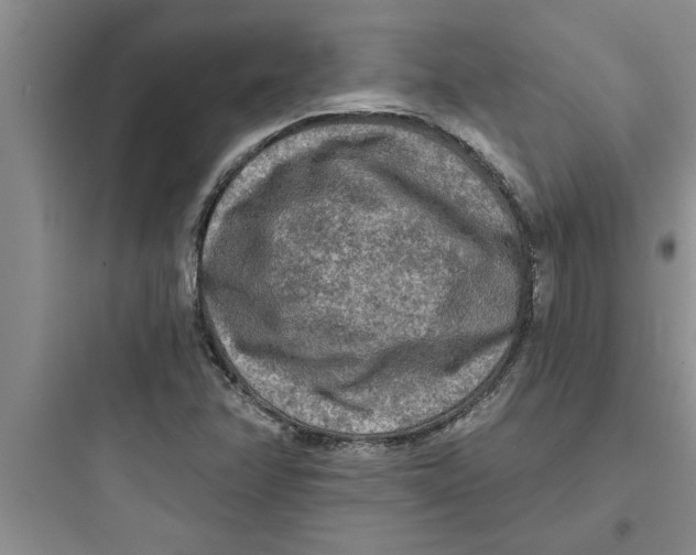 X0000097611358200803211713