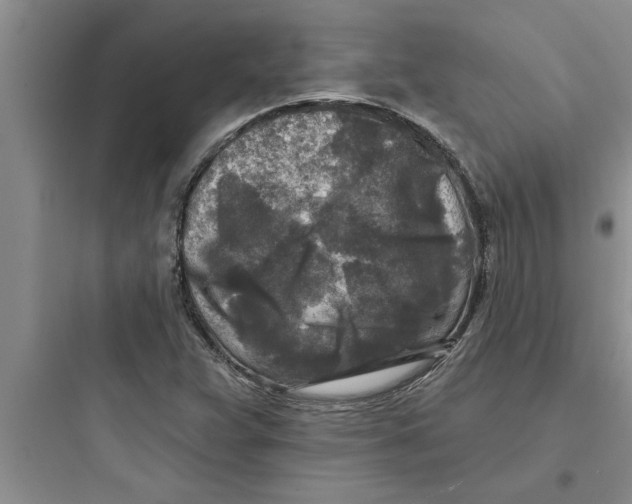 X0000097611359200803211713