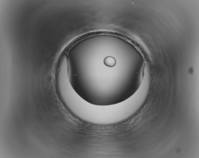 X0000097611360200803211713