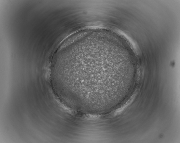 X0000097611361200803211713