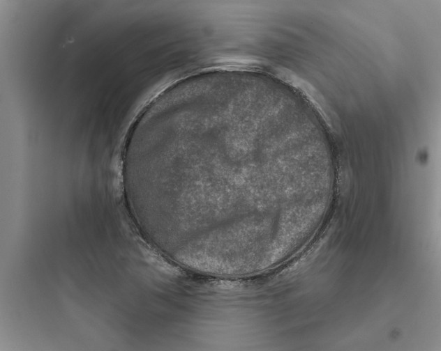 X0000097611362200803211713