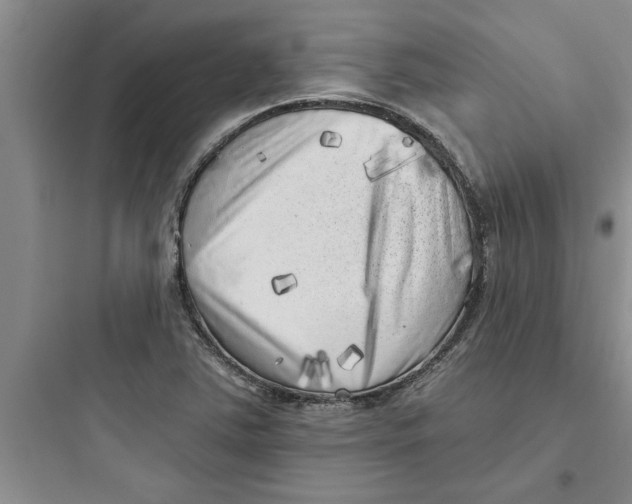 X0000097611363200803211713