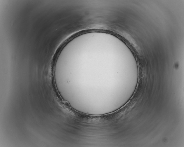 X0000097611364200803211713