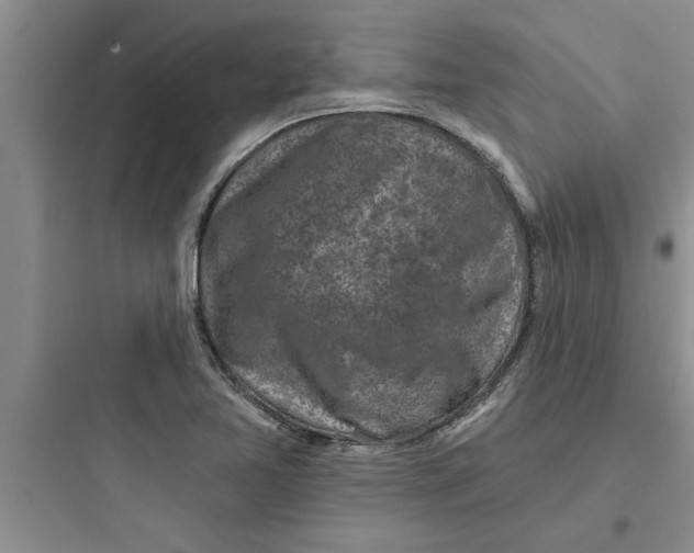 X0000097611365200803211713