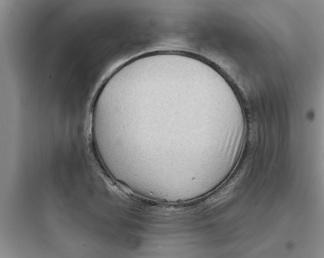 X0000097611366200803211713