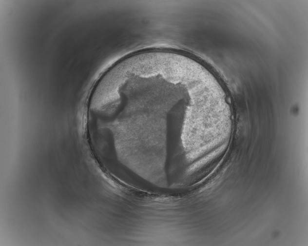 X0000097611367200803211713