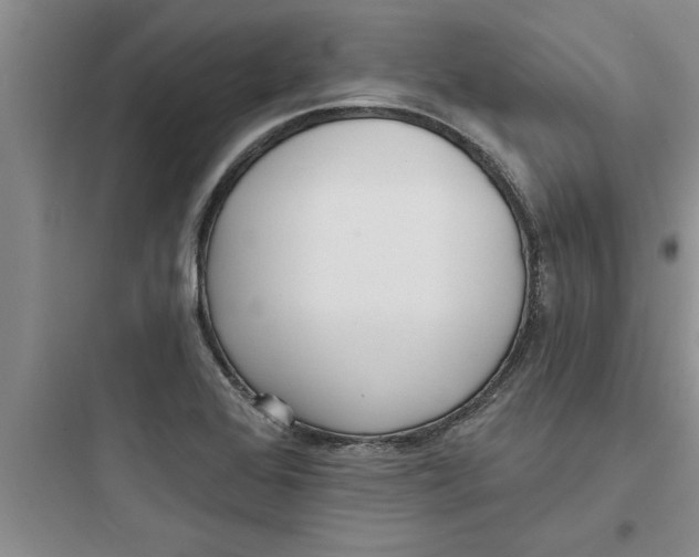 X0000097611368200803211713