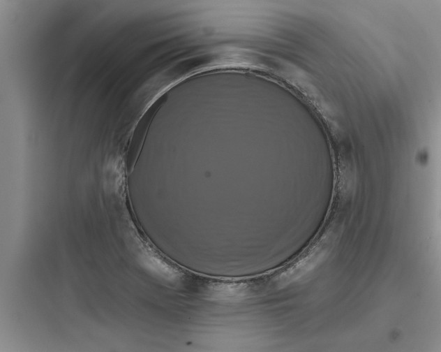 X0000097611369200803211713