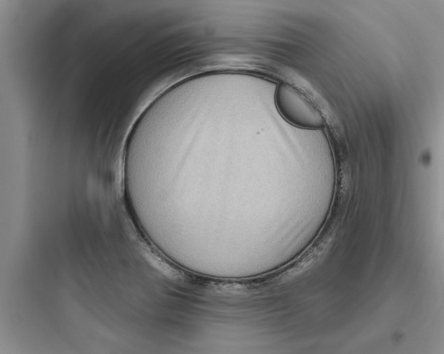 X0000097611370200803211713