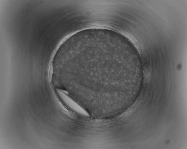 X0000097611371200803211713