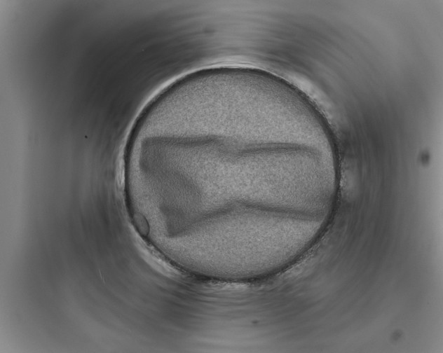 X0000097611372200803211713