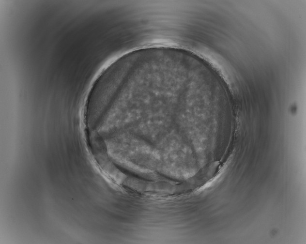 X0000097611373200803211713